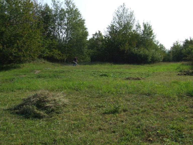 Exkurze- Ostrá Hůrka