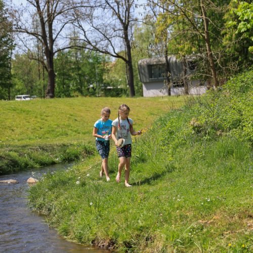 Vycházka na Božkovský ostrov