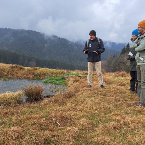 Co se dělo v Zeleném pásu?
