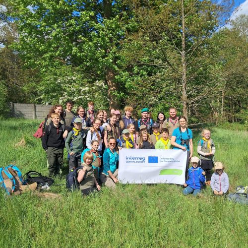 Ohlédnutí za naší prací v Zeleném pásu