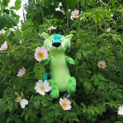 S Bandym jsme se podívali na sopku a významné ptačí hnízdiště