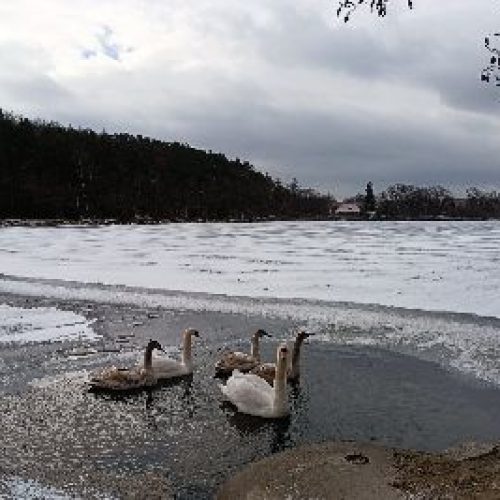Plzeňské poklady pro střední školy