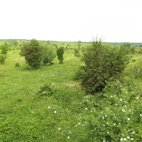 Od alpských luk, přes drobné vodní toky, až po pastviny velkých kopytníků