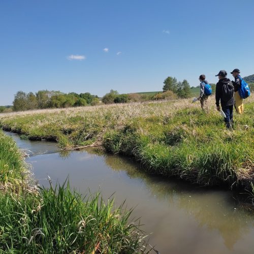 Říčka Kouba jako průvodce – výprava za historií a přírodou