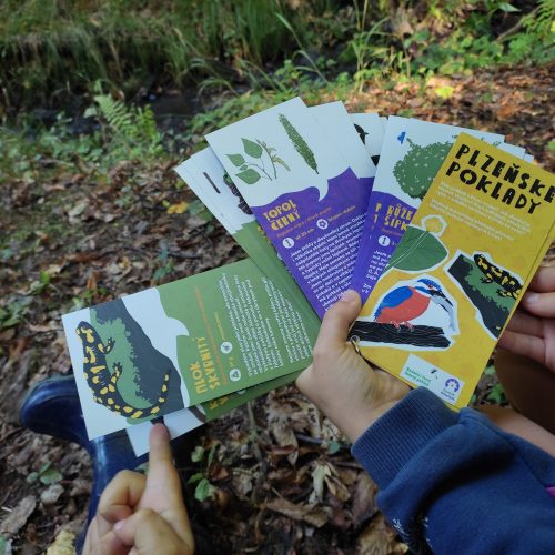 Objevujte plzeňské poklady s novými naučnými kartami