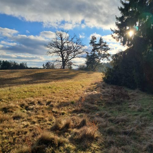 Video o pomoci ohroženým druhům na Ašsku