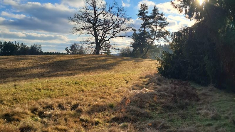 WhatsApp Image 2025-12-03 at 08.45.01