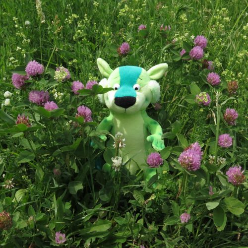 Bandy cestuje po Česku