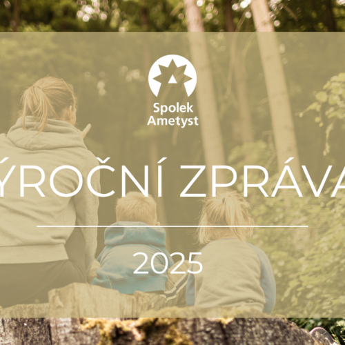 Výroční zpráva 2025